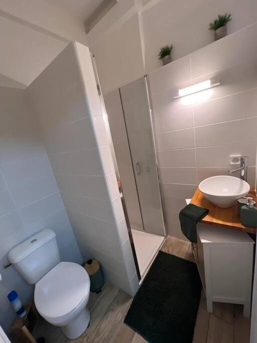 Casa Tropica Sainte-Anne Apartment Ngoại thất bức ảnh